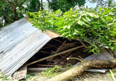 লালমনিরহাটে কালবৈশাখী ঝড়ে ঘরবাড়ি ও ফসলের ব্যাপক ক্ষয়ক্ষতি